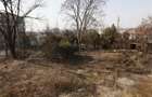 Cladire istorica- Ideal Investitie 700 mp + 3200 mp teren, Tatarasi - Spital Pas - 5