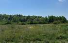 Teren intravilan 500 mp, Domnesti, str. Salciei - 2