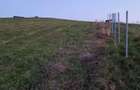 Teren intravilan,3000 mp,front 30ml,Salistea Noua - 2
