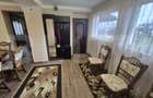 Casa cu 2 camere, 65 mp, teren 2910 mp, in Viile Satu Mare - 10
