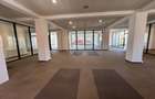 Spațiu Birouri Premium – 291 mp Utili | Open Space I Luptei Sibiu - 13