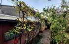 Proprietar casa individuala Bucurestii Noi-Aeromodelului- FARA AGENTII   - 5