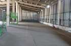 Spatiu industrial -  depozitare hale Baza Receptie Ghimpati Giurgiu - 14