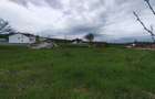 Teren constructie P+M, Sura Mare- Hamba, 717mp, utilitati - 4
