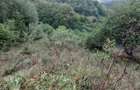 Proprietar-Vând două terenuri, unul de 7.100 mp, celălalt de 25.000 m2 - 5