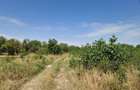 Domnesti - Ciutaci, vanzare 4 loturi de teren intravilan - 20