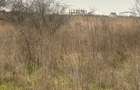 Teren 500 mp Agigea (Zona RO-RO) – La 400m de mare, excelent pentru casă - 4