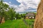 Casa moderna si casa bunicii + 6300 mp teren,Oaza autentica in Corbi Arges- - 4