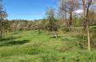 Vand teren intravilan in Albesti de Muscel