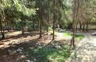 Baneasa Teisani vila 7 camere teren 1000 mp - 5