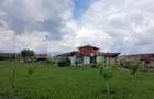 Casa superba in Tinca, 225 mp, 20 ari luciu de apa, teren fotbal, spatii verzi - 3