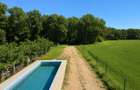 VILA NOUA CU PISCINA SI DESCHIDERE LA PADURE-GHERMANESTI, SNAGOV - 3