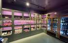 APARTAMENT UNIC/CONCEPT HOUSE/DESIGN/SERVICII HOTELIERECOMPLETE/PRIMAVERII(+TVA) - 48