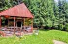 Cabană – Mureș – Sălard – Zona Pensiunea Denisa - 6