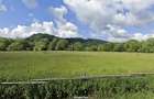 Teren in suprafata de 4000 mp - zona excelenta de investitie - 2
