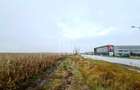 Teren Intravilan | Zona Industriala Vest | 20.663 mp - 12