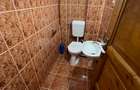 ÎNCHIRIEZ CASĂ TIP DUPLEX – 4 CAMERE DECOMANDATE – ZONA TREI STEJARI - 15