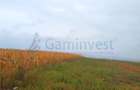 Teren intravilan de vanzare, la 1 minut de centura Osorhei, Alparea, Bihor - 4