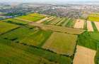 Teren de 50 ha compact în Bujac - 3