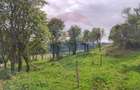 Teren intravilan constructii 3082 mp Damis Bratca drum DJ 764D - 5