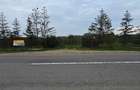 LIVADA  DE VANZARE FOCSANI-DUMBRAVITA  1,8  HA - 34