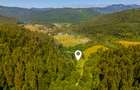Teren 6000mp Sacele -zona Brădet/ Intravilan/ COMISION 0%