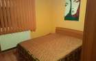 Proprietar, Apartament 2 camere, decomandat, Brazda lui Novac - 3
