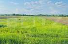 Teren 5500mp extravilan,Sat Dimoiu - 1