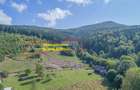 Teren extravilan, 4000 mp, Săcele - Babarunca - 3