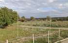 Teren intravilan cu PUZ aprobat - 23.734 mp -Selimbar, limita Cisnadie - 2