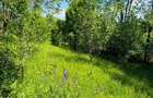 Teren intravilan 4.384 mp | 65 ml deschidere | curent + apă |  - 3