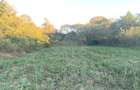 TEREN INTRAVILAN  PLOPU//3000 MP - 6