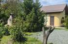 casa curte/ Otopeni/ curte foarte mare/firma rent a car/parcare long t - 7