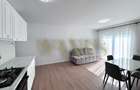 Apartament de Inchiriat - SU 43MP - Balcon - Beta Residence I Chinteni - 2