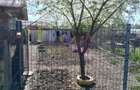 DE VANARE CASA P+M 5 CAM  GIURGIU - 34