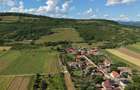 Hunedoara Soimus 4* Pensiune Premium - 7