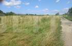 Investitie ! Teren intravilan in Sopor, 2500 mp , front 36 m ! - 4