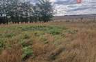 Teren intravilan de 1508 mp cu utilitati - Ianova - 5