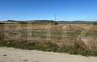 Teren intravilan, 2.250 mp, de vanzare, zona Chintelnic - 3