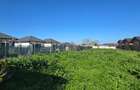 Exclusivitate-Vadu, zona centrala, casa 75mp, teren 1917 mp/31ml deschidere - 29