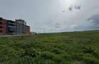 Teren 2500 mp zona Boreal - 3