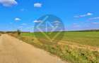 Teren 9Ha -> 16Ha Ha Intravilan , Exit A3 Snagov Ghermanesti Bucuresti-Ploiesti - 9