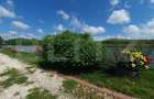 Vilă cu 5 camere, 280 mp, livadă pe rod, zona Valea Voievozilor - 11