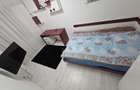 Apartament de închiriat, 4 camere, 130 mp, semicentral zona Horea - 17