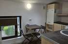 Apartament 1 camera de inchiriat in vila, zona Centru-Primarie - 10