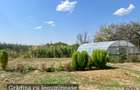 Proprietate de vanzare | Tileagd | jud. Bihor - 7