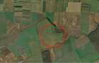 REL4001316 Investitie - Teren extravilan 3 hectare langa Padurea Oracu - 2