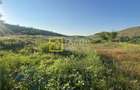 Teren Magura str. Intre Vii Islazului 550 mp - 6