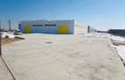 Vanzare depozit/hala/spatiu industrial Militari - A1 - KM23 - Bolintin Deal - 3