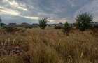 Teren de Vanzare | Domnesti | Intravilan | 650 MP - 3
